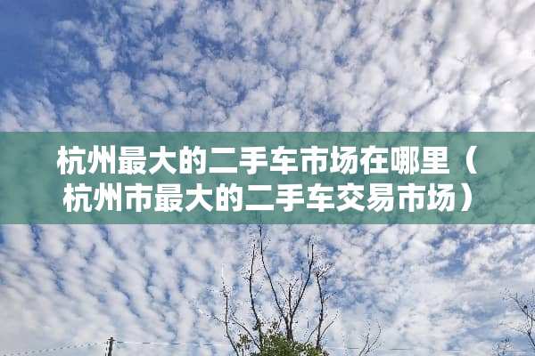 杭州最大的二手车市场在哪里（杭州市最大的二手车交易市场）