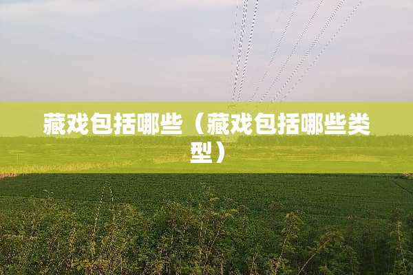 藏戏包括哪些（藏戏包括哪些类型）