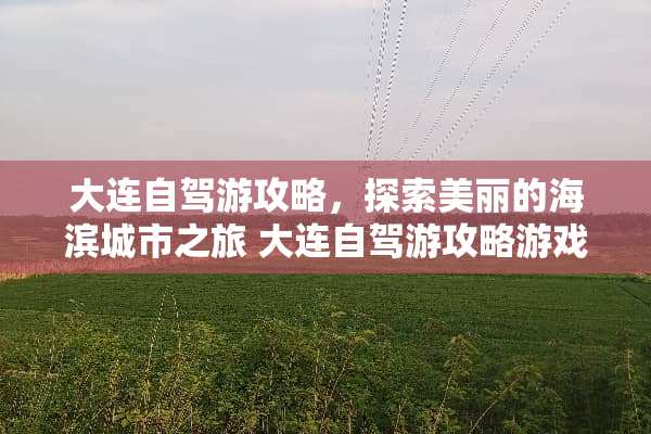大连自驾游攻略，探索美丽的海滨城市之旅 大连自驾游攻略游戏