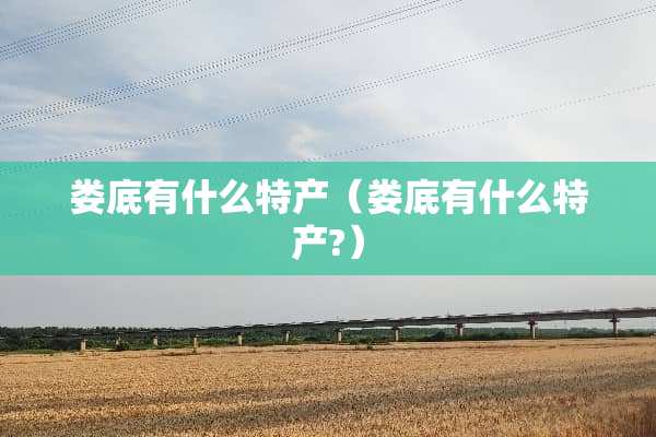 娄底有什么特产（娄底有什么特产?）