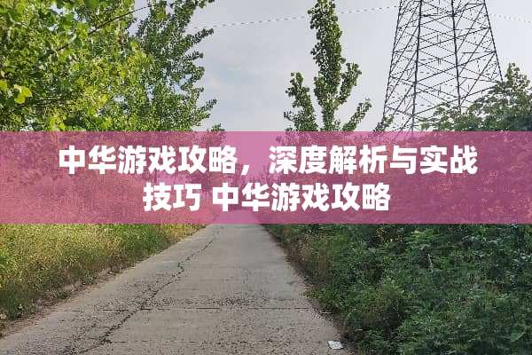 中华游戏攻略，深度解析与实战技巧 中华游戏攻略
