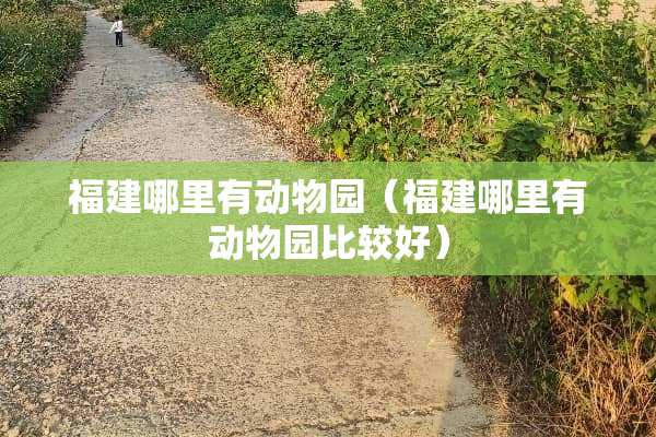 福建哪里有动物园（福建哪里有动物园比较好）