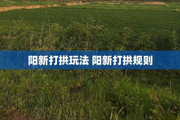阳新打拱玩法 阳新打拱规则