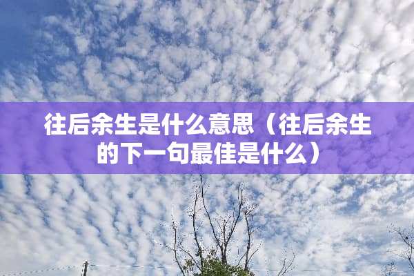 往后余生是什么意思（往后余生的下一句最佳是什么）