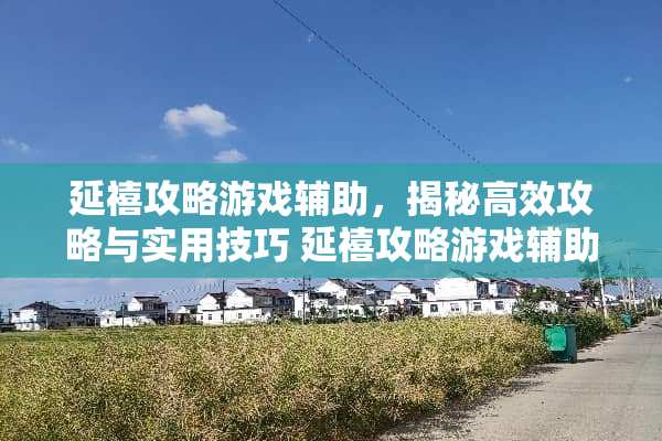 延禧攻略游戏辅助，揭秘高效攻略与实用技巧 延禧攻略游戏辅助