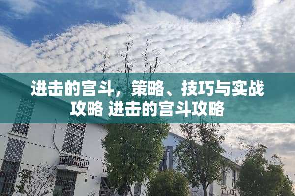 进击的宫斗，策略、技巧与实战攻略 进击的宫斗攻略