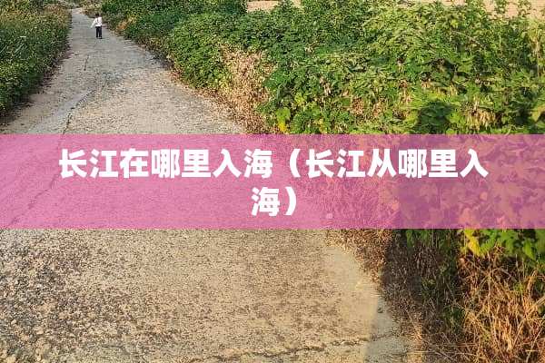长江在哪里入海（长江从哪里入海）