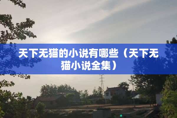 天下无猫的小说有哪些（天下无猫小说全集）
