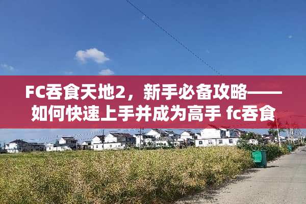 FC吞食天地2，新手必备攻略——如何快速上手并成为高手 fc吞食天地2攻略