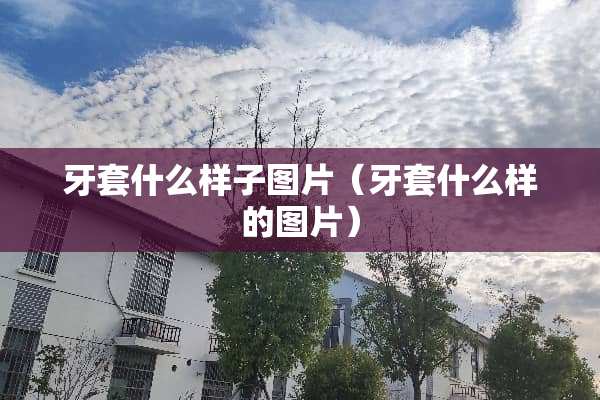 牙套什么样子图片（牙套什么样的图片）
