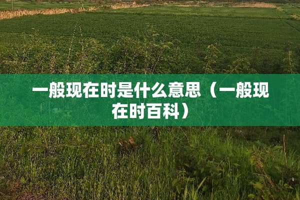 一般现在时是什么意思（一般现在时百科）