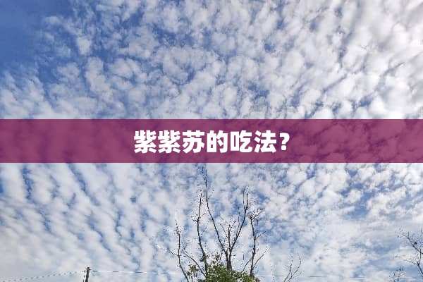 紫紫苏的吃法？