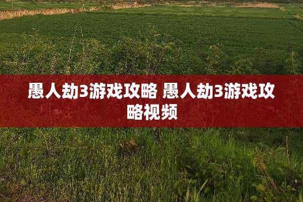 愚人劫3游戏攻略 愚人劫3游戏攻略视频