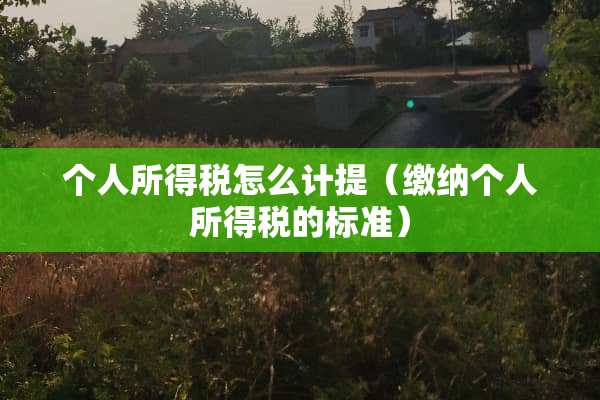 个人所得税怎么计提（缴纳个人所得税的标准）