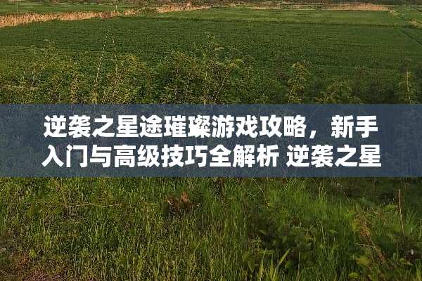 逆袭之星途璀璨游戏攻略，新手入门与高级技巧全解析 逆袭之星途璀璨游戏攻略