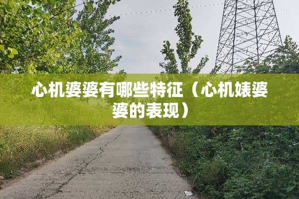 心机婆婆有哪些特征（心机婊婆婆的表现）