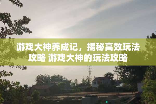 游戏大神养成记，揭秘高效玩法攻略 游戏大神的玩法攻略