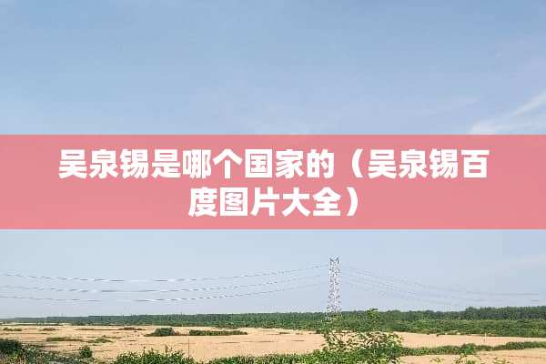 吴泉锡是哪个国家的（吴泉锡百度图片大全）