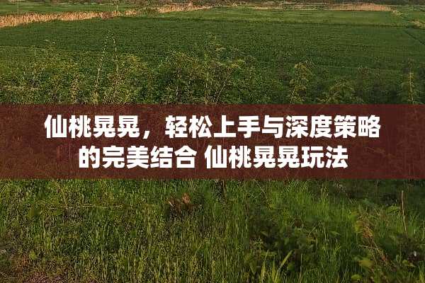 仙桃晃晃，轻松上手与深度策略的完美结合 仙桃晃晃玩法