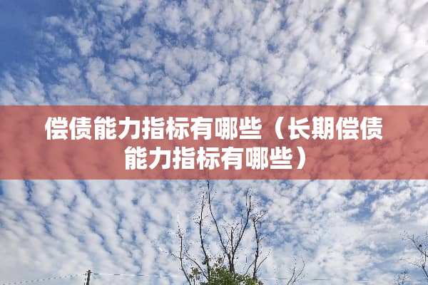 偿债能力指标有哪些（长期偿债能力指标有哪些）