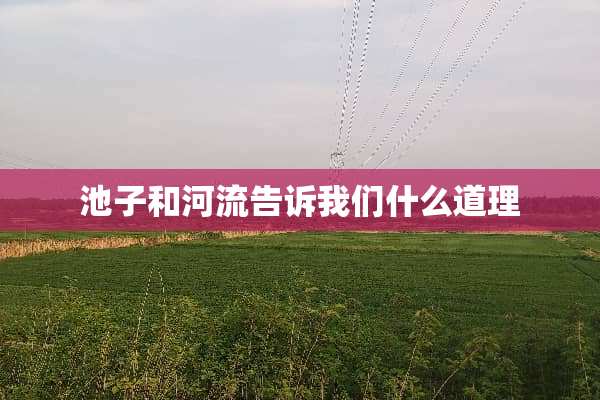 池子和河流告诉我们什么道理