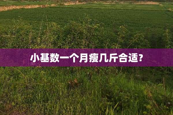小基数一个月瘦几斤合适？