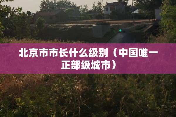 北京市市长什么级别（中国唯一正部级城市）