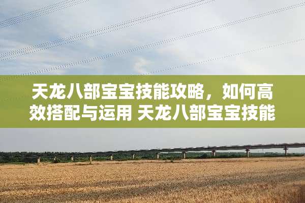 天龙八部宝宝技能攻略，如何高效搭配与运用 天龙八部宝宝技能怎么打