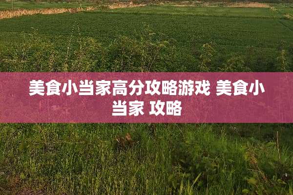 美食小当家高分攻略游戏 美食小当家 攻略