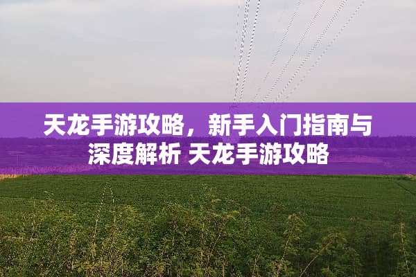天龙手游攻略，新手入门指南与深度解析 天龙手游攻略