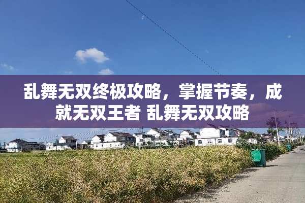 乱舞无双终极攻略，掌握节奏，成就无双王者 乱舞无双攻略
