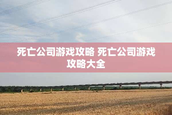 死亡公司游戏攻略 死亡公司游戏攻略大全