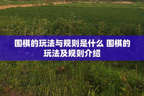 围棋的玩法与规则是什么 围棋的玩法及规则介绍