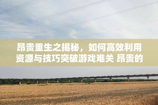 昂贵重生之揭秘，如何高效利用资源与技巧突破游戏难关 昂贵的重生游戏攻略