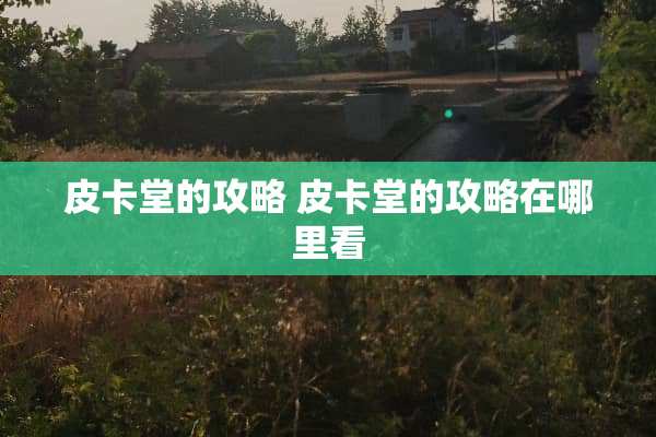 皮卡堂的攻略 皮卡堂的攻略在哪里看