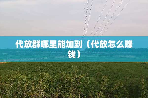 代放群哪里能加到(代放怎么赚钱) 代放群哪里能加到(代放怎么赚钱)