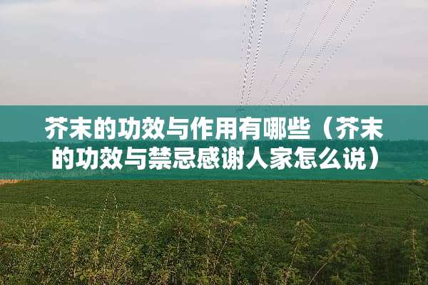 芥末的功效与作用有哪些(芥末的功效与禁忌感谢人家怎么说) 芥末的功效与作用有哪些(芥末的功效与禁忌感谢人家怎么说)
