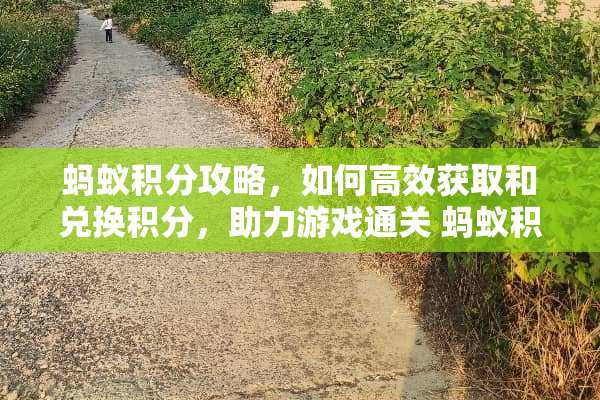 蚂蚁积分攻略，如何高效获取和兑换积分，助力游戏通关 蚂蚁积分攻略