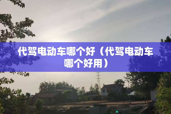代驾电动车哪个好（代驾电动车哪个好用）