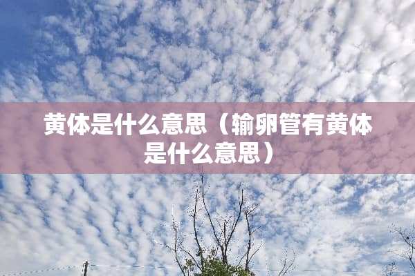 黄体是什么意思（输卵管有黄体是什么意思）