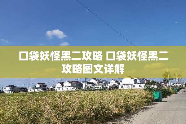 口袋妖怪黑二攻略 口袋妖怪黑二攻略图文详解