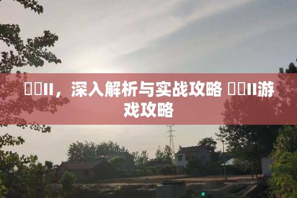 黒獣II，深入解析与实战攻略 黒獣II游戏攻略