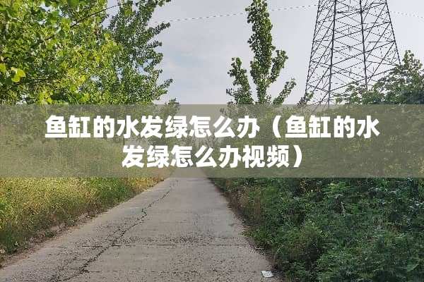 鱼缸的水发绿怎么办（鱼缸的水发绿怎么办视频）