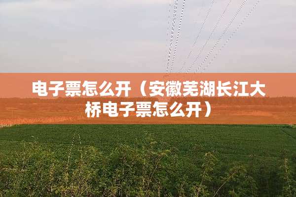 电子票怎么开（安徽芜湖长江大桥电子票怎么开）