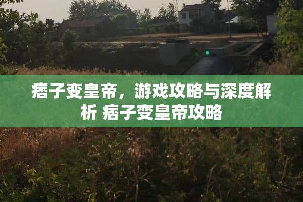 痞子变皇帝，游戏攻略与深度解析 痞子变皇帝攻略
