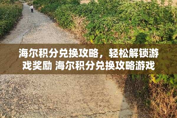 海尔积分兑换攻略,轻松解锁游戏奖励 海尔积分兑换攻略游戏 海尔积分兑换攻略,轻松解锁游戏奖励 海尔积分兑换攻略游戏
