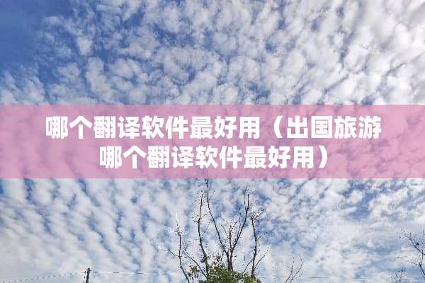哪个翻译软件最好用（出国旅游哪个翻译软件最好用）