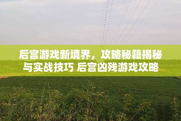 后宫游戏新境界,攻略秘籍揭秘与实战技巧 后宫凶残游戏攻略 后宫游戏新境界,攻略秘籍揭秘与实战技巧 后宫凶残游戏攻略