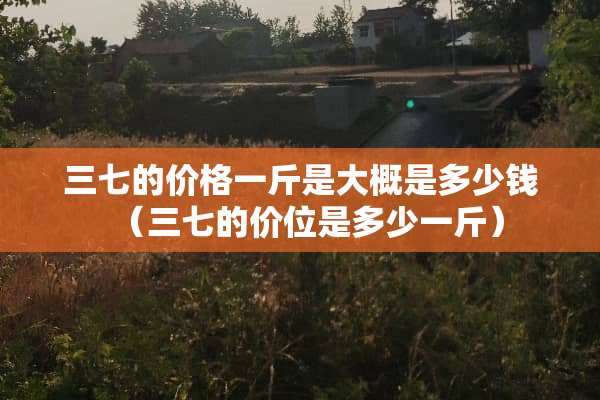三七的价格一斤是大概是多少钱（三七的价位是多少一斤）