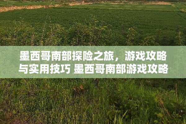 墨西哥南部探险之旅，游戏攻略与实用技巧 墨西哥南部游戏攻略